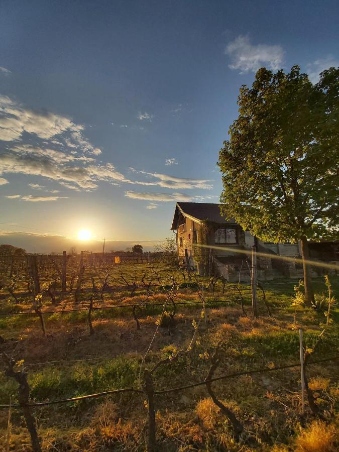 Izletiste Opatovac Guest House Exterior photo